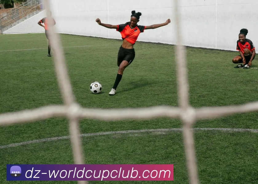 世界杯在线投注平台生态图