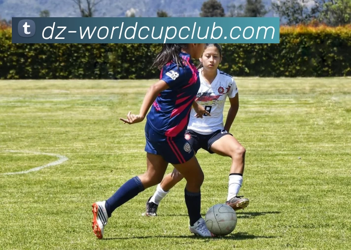 世界杯在线投注全站App